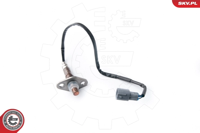 Oxygen Sensor